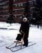 A-Zimmersled!-Cool-Äiti_jpg